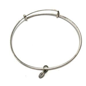 Alex and Ani Charm Station Bracelet Silver Finish - Expands 2"- 3.5"